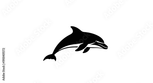 Black dolphin swimming in water.