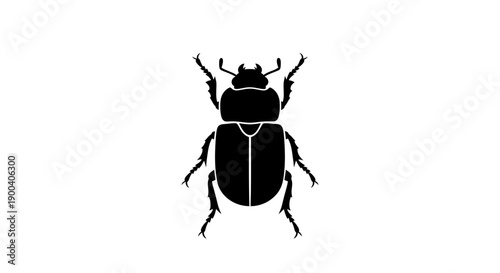 Black beetle insect on white background.