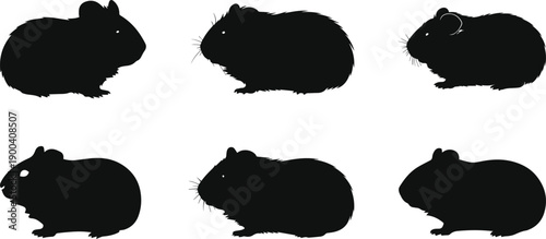 Set of Minimalist black guinea pig animal silhouette vector icon