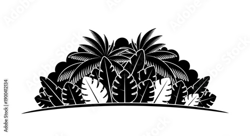 Tropical palm tree leafy green foliage.