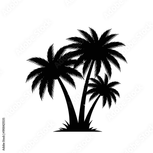 Silhouette of three palm trees on white background, tropical nature, vector art