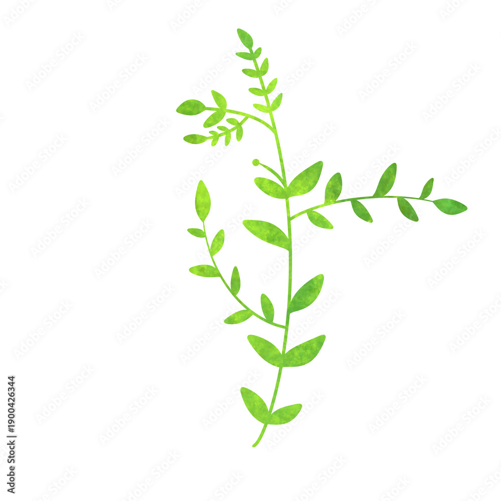 Obraz premium Leaf Element Illustration Watercolor 