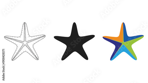 Collection of three distinct starfish icons showing outline silhouette and colorful segmented vector design variations