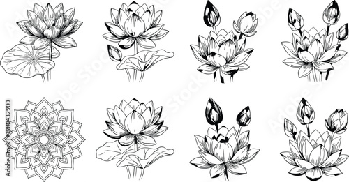 Lotus flower line art illustration set, with blooming water lilies mandala element botanical outlines for tattoo coloring yoga decor design