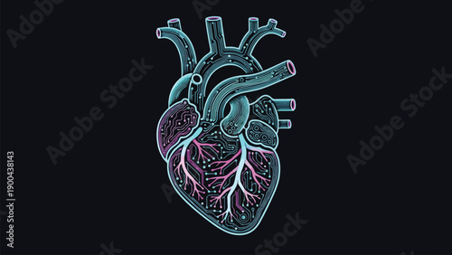 Anatomical Human Heart Neon Line Art Illustration on Dark Background