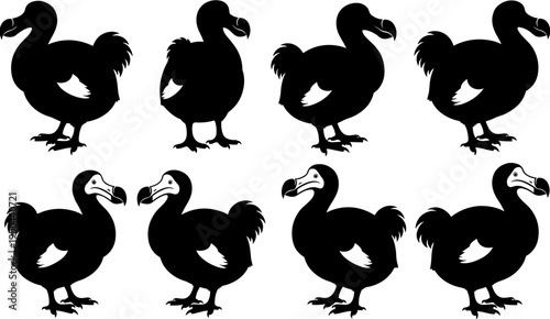 Set of extinct dodo bird silhouettes in various poses, isolated black vector illustrations for history, paleontology, and nature conservation themes
