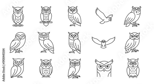 Collection of Various Owl Illustrations and Sketches.