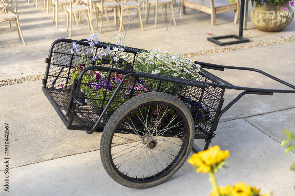 Obraz premium Charming rustic wedding decoration featuring black flower cart for an outdoor ceremony. This romantic floral arrangement creates beautiful atmosphere for celebration