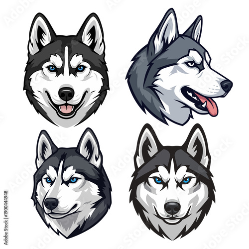 Vector Husky and Sled Dog Mascot Head Set with Alert and Focused Expressions