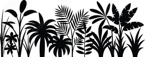 Black tropical leaf silhouettes border, jungle plants and palm trees vector illustration isolated on white background, exotic nature foliage frame design