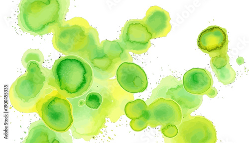 Green and yellow watercolor abstract vector background Fresh lime ink stains and organic liquid splatters on white