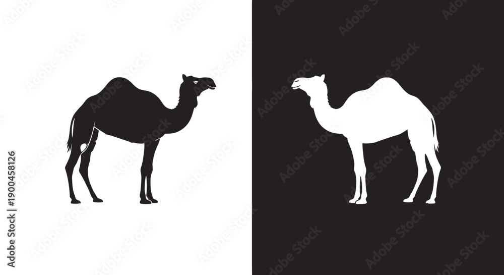 Obraz premium Black and white camel silhouettes facing each other showcasing contrast and clean vector design