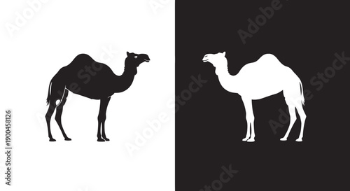 Black and white camel silhouettes facing each other showcasing contrast and clean vector design