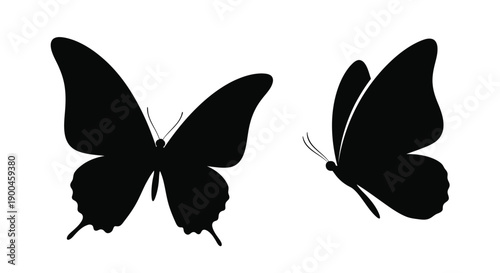 Two black butterflies in flight a delicate silhouette