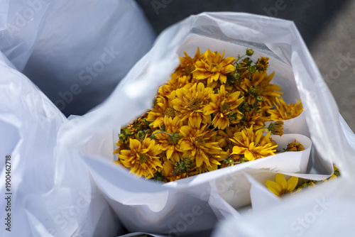 Fotografi Forgotten bouquet of yellow marigold flower in plastic bag, sad and beautiful still life