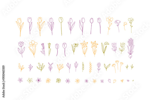 Lint art spring flowers hand drawing