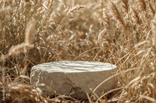 Sunlit Rustic Stone Pedestal in Golden Wheat Field, Natural Product Display Podium.