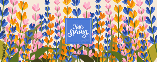 Spring and summer templates with beautiful blossom flowers and nature.set of cards with cute meadow flowers. Floral botanical for holiday  poster, invitation, social media post, Mother's Day, Easter.