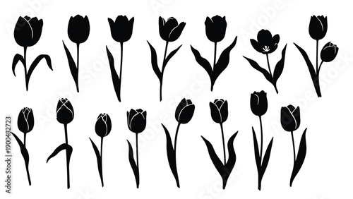 Elegant collection of various tulip flower silhouettes in striking black, capturing their graceful form and timeless beauty against a white background.