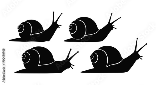 Four black snails crawling a striking graphic silhouette