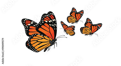A group of vibrant monarch butterflies in mid flight against a white background