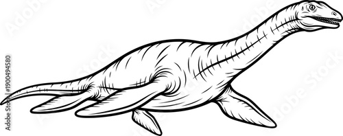 Elasmosaurus long neck marine reptile drawing