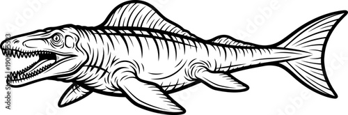 Mosasaurus marine reptile line art illustration