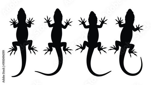 Four black silhouettes of lizards with long tails and four legs each Vector