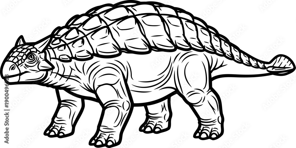 Fototapeta premium Side view profile of an armored ankylosaurus dinosaur sketch