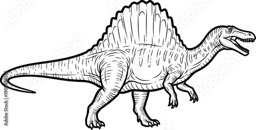 Spinosaurus dinosaur illustration in profile view
