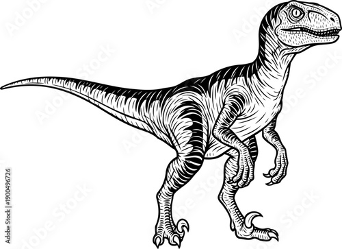 Striped velociraptor theropod dinosaur running profile line art