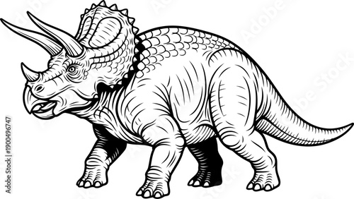 Three horned triceratops herbivore dinosaur walking