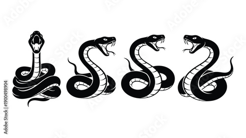 Four snakes intertwined in a complex and intricate black and white illustration Vector