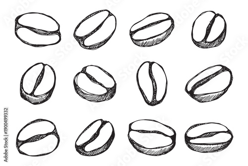 Set of hand drawn fresh roasted coffee bean Arabica robusta seed doodle Single element for design print packaging label decor