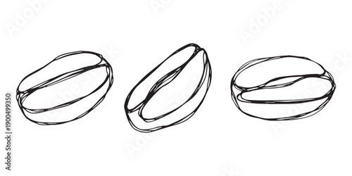 Set of hand drawn fresh roasted coffee bean Arabica robusta seed doodle Single element for design print packaging label decor