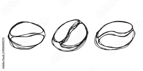 Set of hand drawn fresh roasted coffee bean Arabica robusta seed doodle Single element for design print packaging label decor