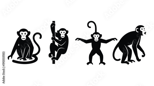 Four monkeys in different poses showcasing their agility and expressions Vector