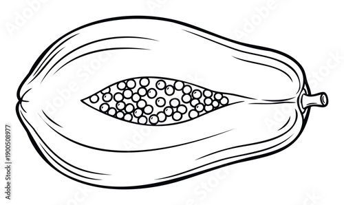 Detailed black outline drawing of a halved ripe papaya fruit with numerous seeds inside, ideal for healthy eating promotions or tropical food educational materials.