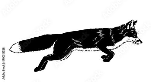 A black panther and wolf silhouette vector illustration in black and white showing wild animals isolated on a white background suitable for icons and designs
