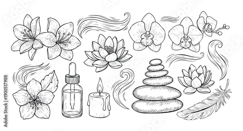 Elegant line art collection of natural spa components like lilies, orchids, lotuses, balanced stones, aromatherapy oil, and calming air movements, suitable for health and beauty visuals