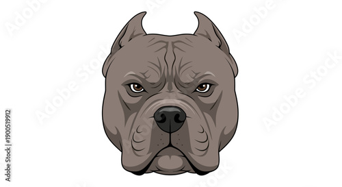 Illustrated fierce pitbull dog head on white background