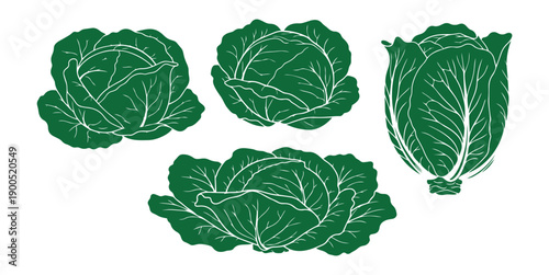 Green cabbage silhouette vector design with stylized leafy heads in detailed illustration.