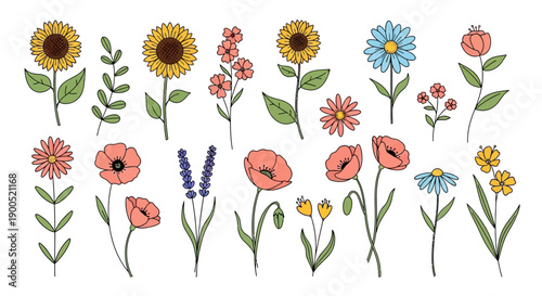 Colorful hand-drawn floral illustrations with various flowers and leaves