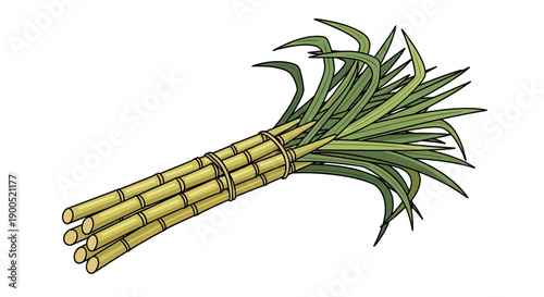 Illustration of Fresh Sugarcane Bundle with Green Leaves