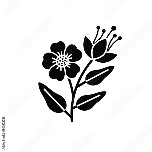 Botanical illustration featuring wildflower silhouette with open blossom and unopened bud for natural skincare branding or organic product label design on white background graphic