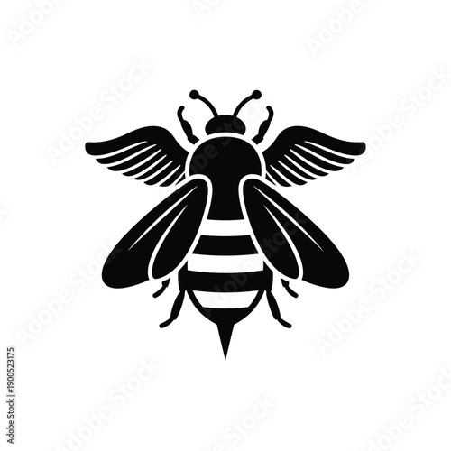 Black and white flying bee vector illustration insect animal wildlife design element simple graphic icon or logo for nature