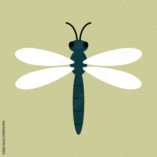 illustration of a dragonfly with detailed wings isolated