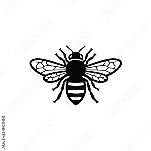 Detailed honeybee silhouette icon with transparent wings and striped abdomen for apiary business branding and honey production identity design isolated on white background vector