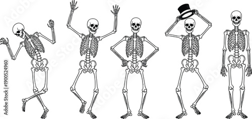 Skeleton characters set, human bones anatomy, funny poses, Halloween illustration, dancing skull figures, medical anatomy, spooky cartoon collection