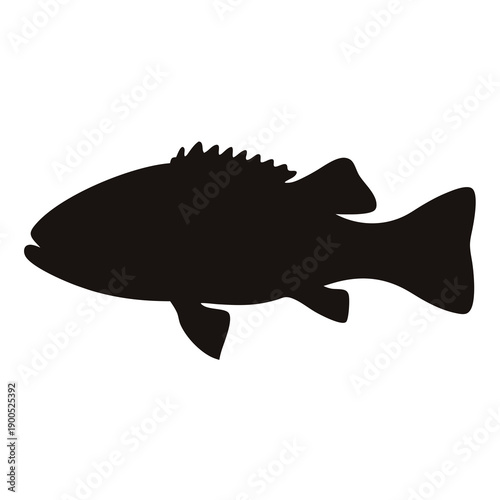 Silhouette of a Spiny Fin Fish, A Black Image of a Fish